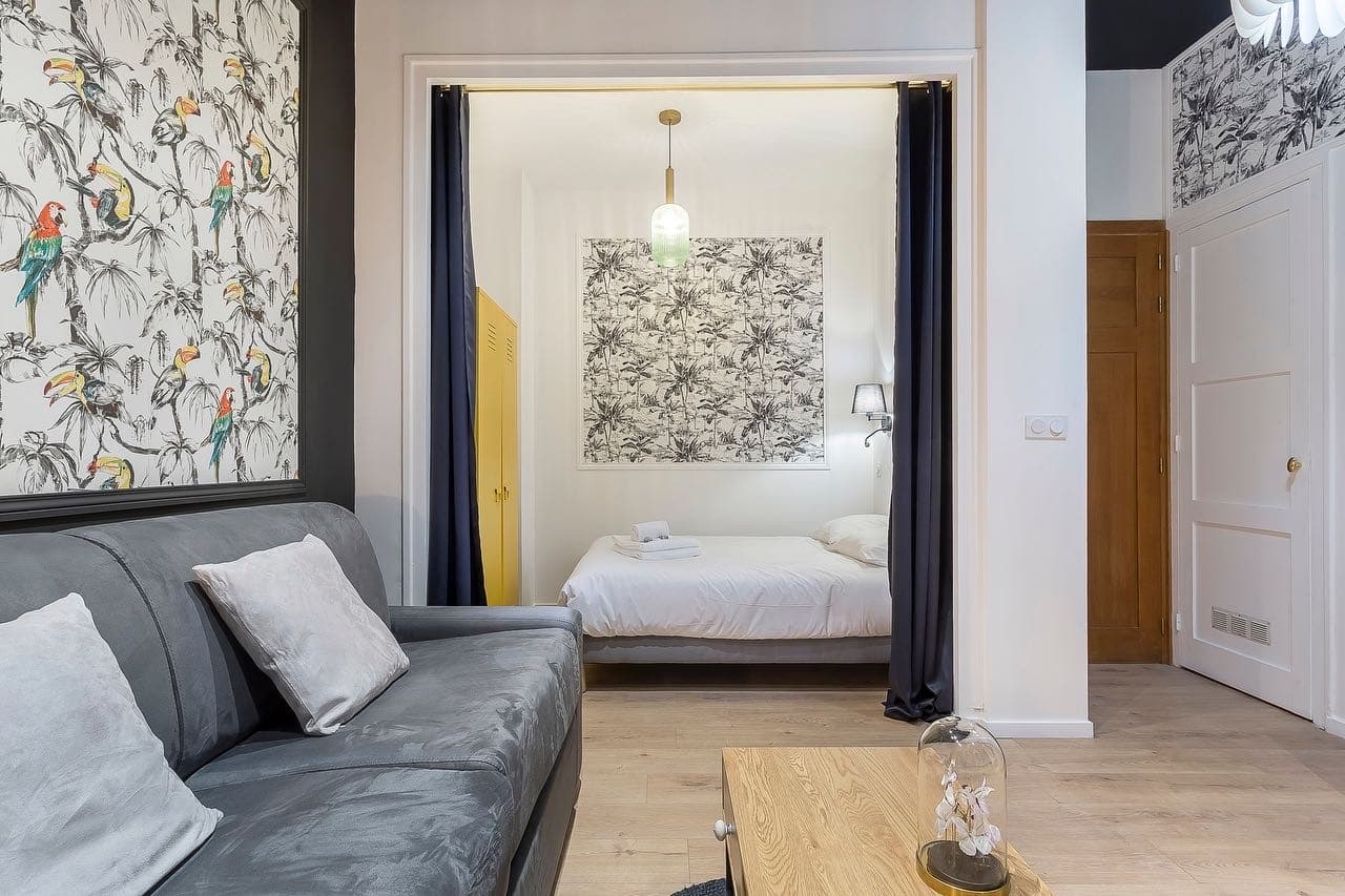 Séjour d’un studio rénové à Annemasse : canapé en velours gris, panneau de papier peint perroquets encadré et alcôve chambre fermée par des rideaux bleu nuit